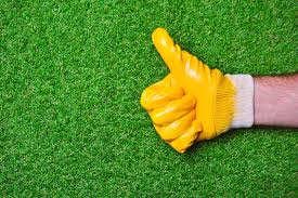 Lawn maintenance plans in Jacksonville FL